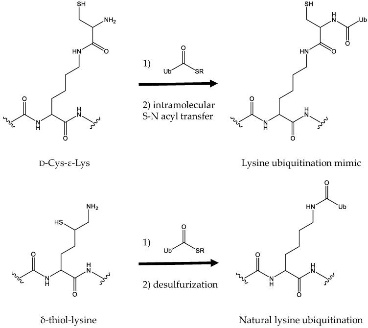 https://cdn.ncbi.nlm.nih.gov/pmc/blobs/7a12/6100177/9ffc3fcd4a9a/molecules-23-01662-g003.jpg