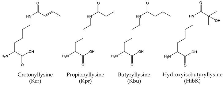 https://cdn.ncbi.nlm.nih.gov/pmc/blobs/7a12/6100177/dee5c46fa6c1/molecules-23-01662-g005.jpg