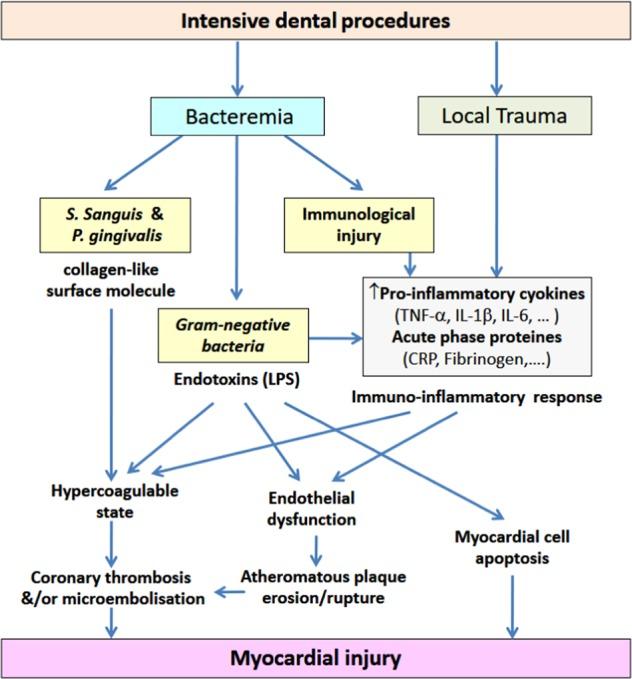 https://cdn.ncbi.nlm.nih.gov/pmc/blobs/7a19/6586777/1b30fbd25fa1/41405_2019_18_Fig3_HTML.jpg