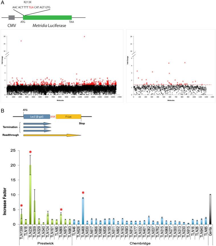 https://cdn.ncbi.nlm.nih.gov/pmc/blobs/7a1e/9436315/9a7e87610122/pnas.2122004119fig01.jpg