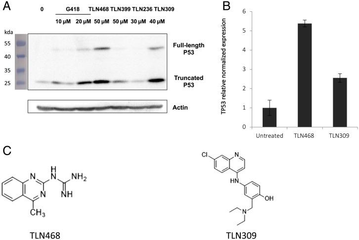 https://cdn.ncbi.nlm.nih.gov/pmc/blobs/7a1e/9436315/e086ddf85bba/pnas.2122004119fig02.jpg