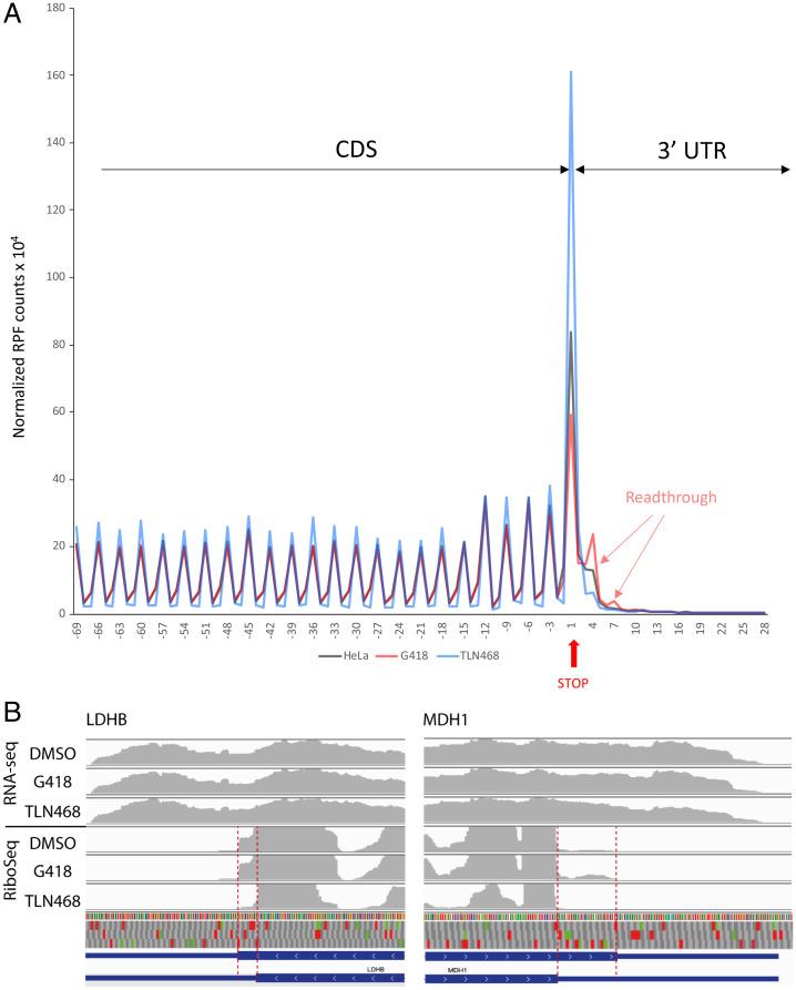 https://cdn.ncbi.nlm.nih.gov/pmc/blobs/7a1e/9436315/fab96afa3881/pnas.2122004119fig06.jpg