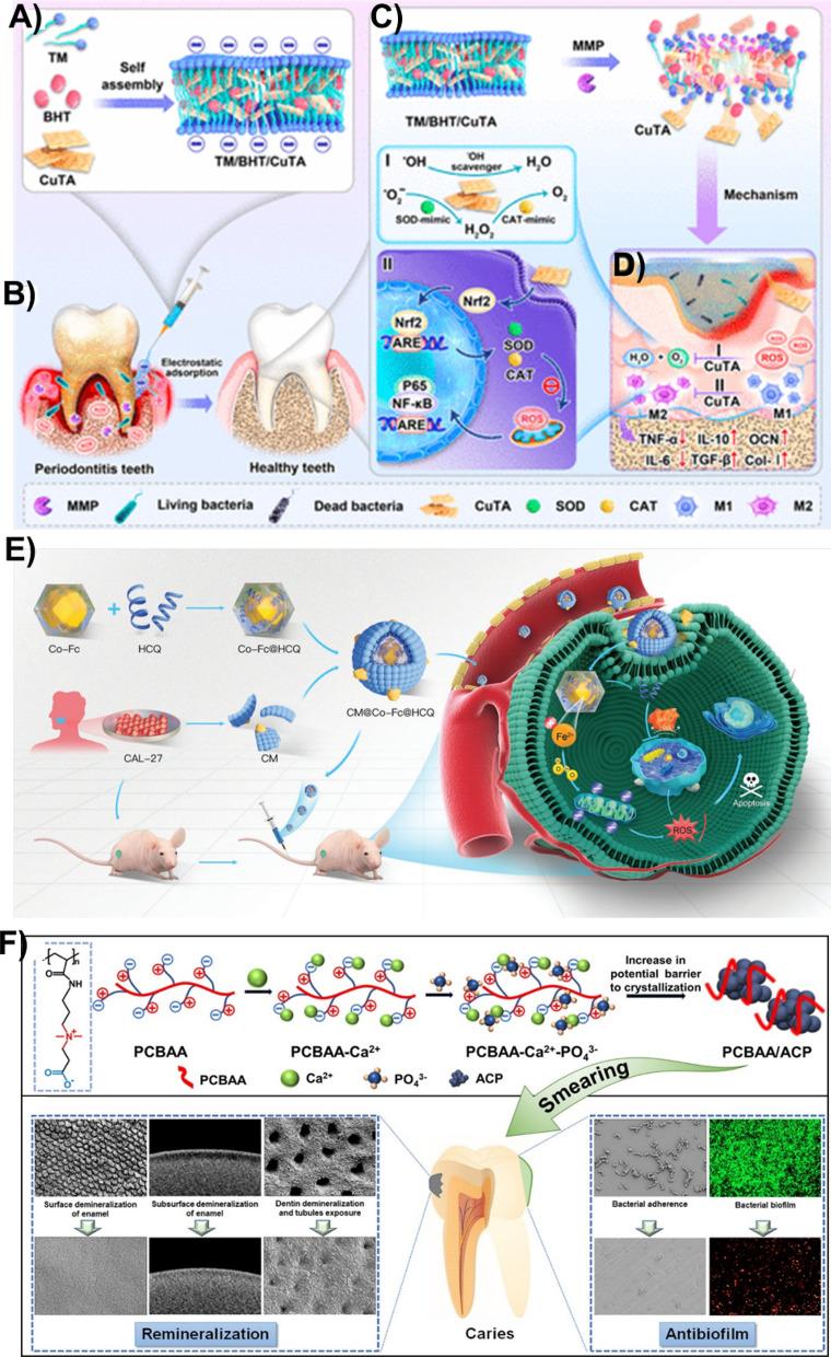 https://cdn.ncbi.nlm.nih.gov/pmc/blobs/7a25/11305065/6ec82ce0b461/12951_2024_2680_Fig11_HTML.jpg