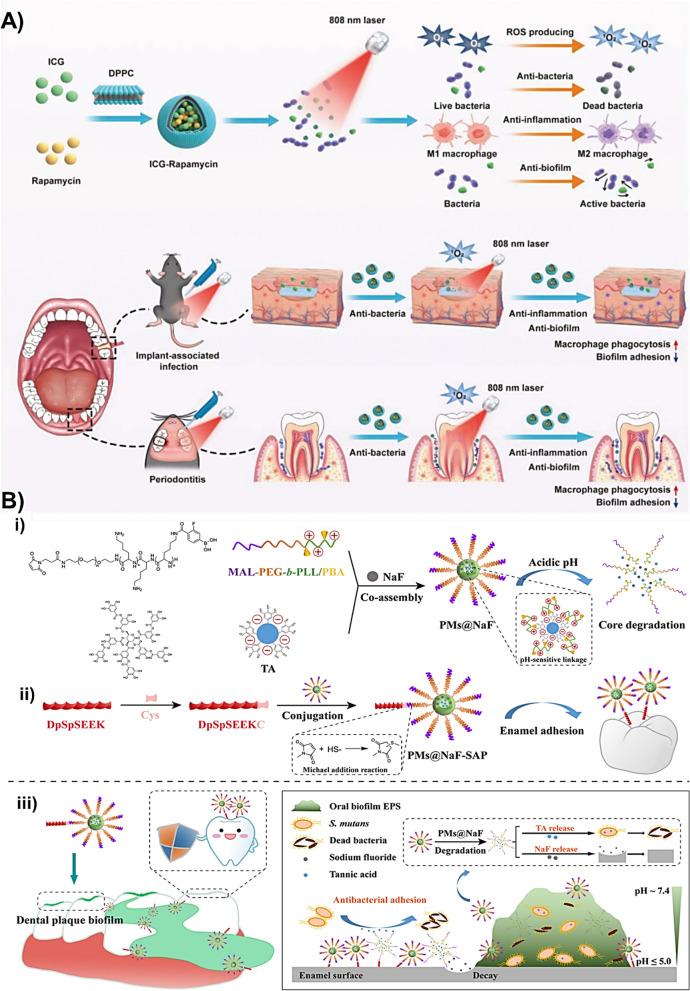 https://cdn.ncbi.nlm.nih.gov/pmc/blobs/7a25/11305065/d496b5d071b6/12951_2024_2680_Fig8_HTML.jpg