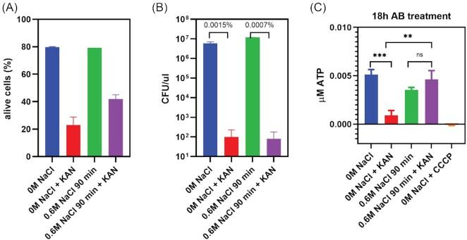 https://cdn.ncbi.nlm.nih.gov/pmc/blobs/7a2c/10117730/9294515ffb77/uqac010fig11.jpg