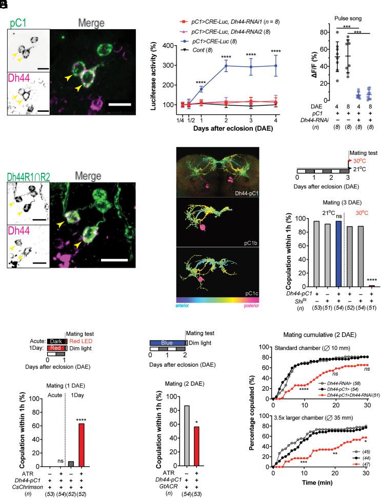 https://cdn.ncbi.nlm.nih.gov/pmc/blobs/7a35/10927590/7a3384e98482/pnas.2310841121fig02.jpg
