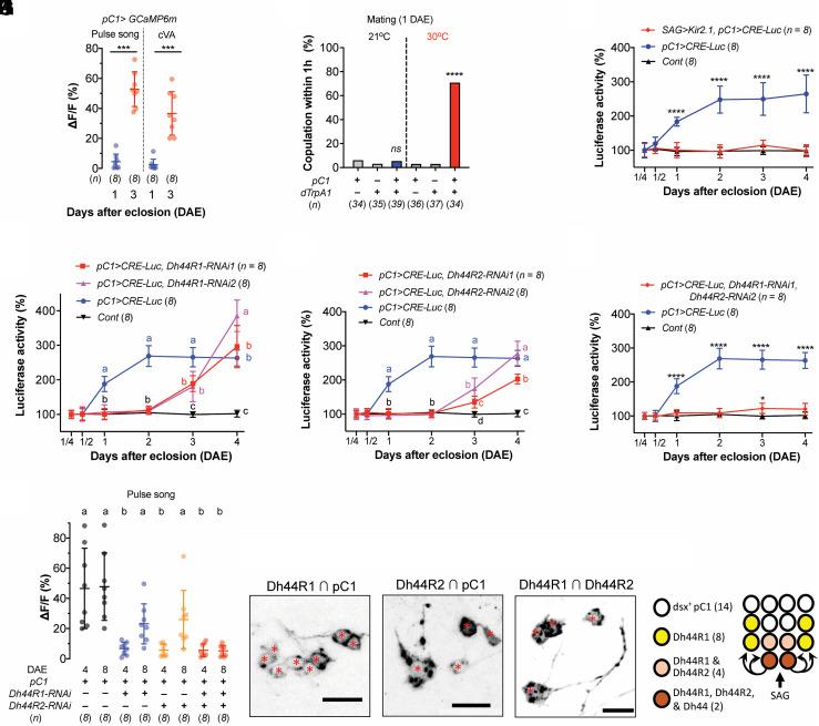 https://cdn.ncbi.nlm.nih.gov/pmc/blobs/7a35/10927590/c830e8669e9b/pnas.2310841121fig01.jpg