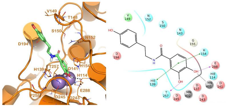 https://cdn.ncbi.nlm.nih.gov/pmc/blobs/7a37/7696938/0afb4a382f72/molecules-25-05271-g003.jpg