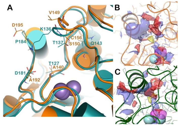 https://cdn.ncbi.nlm.nih.gov/pmc/blobs/7a37/7696938/2b3b076ce042/molecules-25-05271-g004.jpg