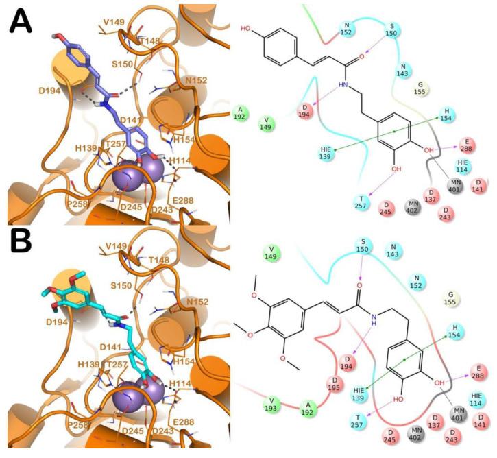 https://cdn.ncbi.nlm.nih.gov/pmc/blobs/7a37/7696938/fe965ee29b79/molecules-25-05271-g002.jpg