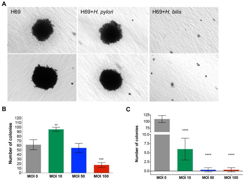 https://cdn.ncbi.nlm.nih.gov/pmc/blobs/7a3c/7700263/0d3ec3468711/pathogens-09-00971-g005.jpg