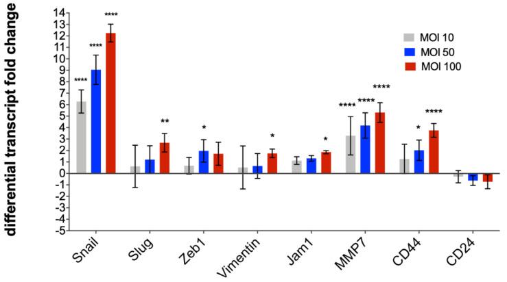 https://cdn.ncbi.nlm.nih.gov/pmc/blobs/7a3c/7700263/809b75789800/pathogens-09-00971-g002.jpg