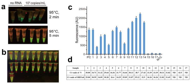 https://cdn.ncbi.nlm.nih.gov/pmc/blobs/7a57/11118887/216d632ff7a9/biosensors-14-00245-g010.jpg