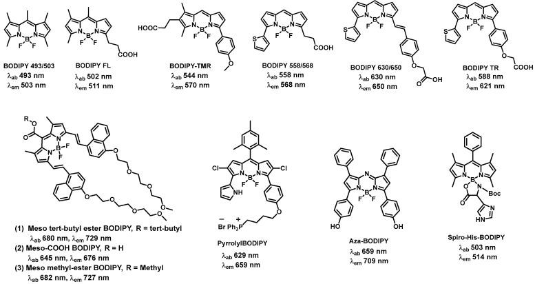 https://cdn.ncbi.nlm.nih.gov/pmc/blobs/7a5f/10741882/684136d9b848/biomolecules-13-01723-g002.jpg