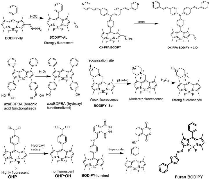 https://cdn.ncbi.nlm.nih.gov/pmc/blobs/7a5f/10741882/e3dfeb0a9168/biomolecules-13-01723-g004.jpg