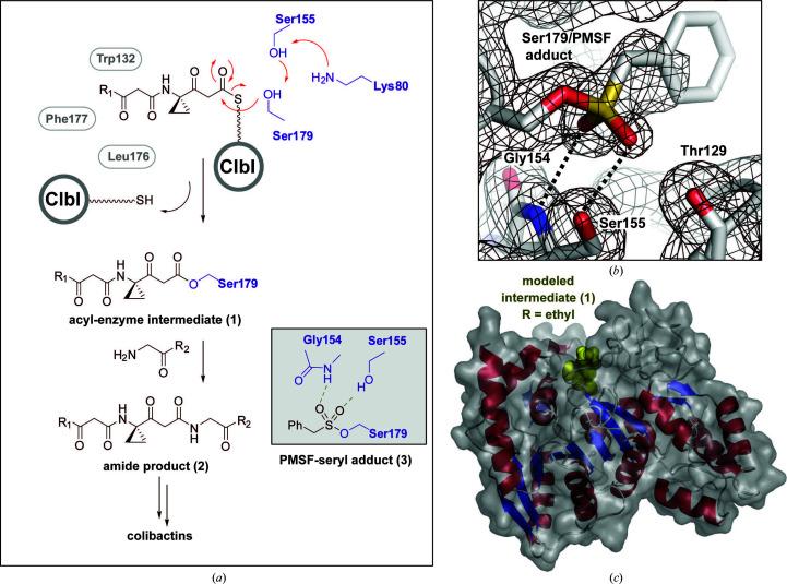 https://cdn.ncbi.nlm.nih.gov/pmc/blobs/7a60/10478638/304210ce3440/d-79-00830-fig3.jpg