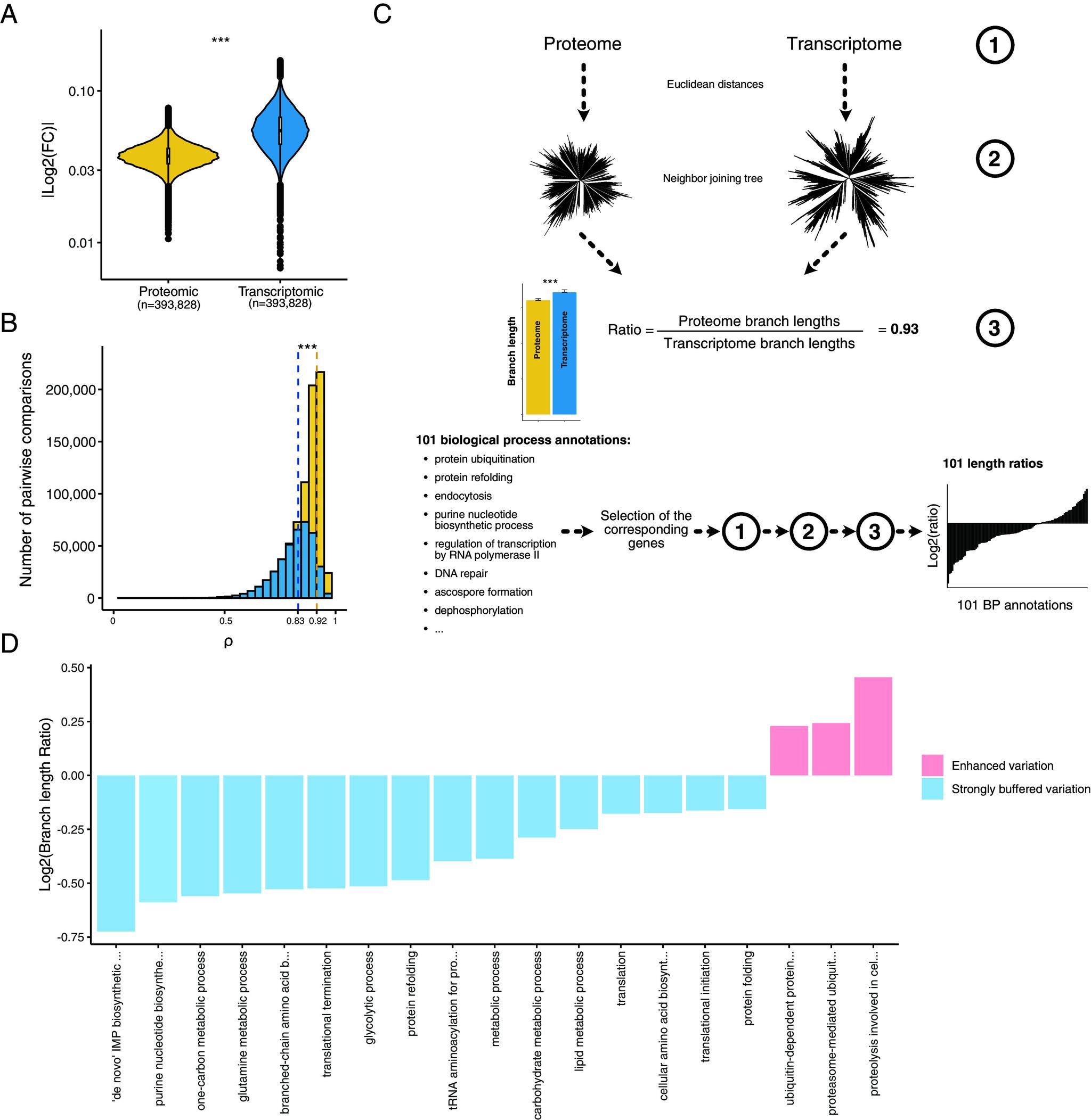 https://cdn.ncbi.nlm.nih.gov/pmc/blobs/7a98/11087752/54fbc192e02a/pnas.2319211121fig02.jpg