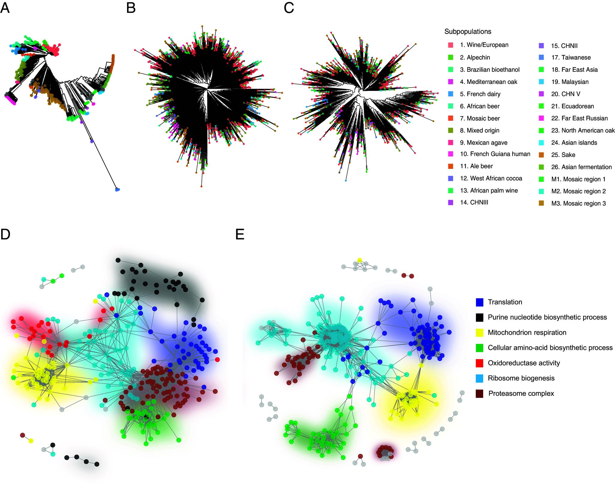https://cdn.ncbi.nlm.nih.gov/pmc/blobs/7a98/11087752/704238bc0c52/pnas.2319211121fig03.jpg