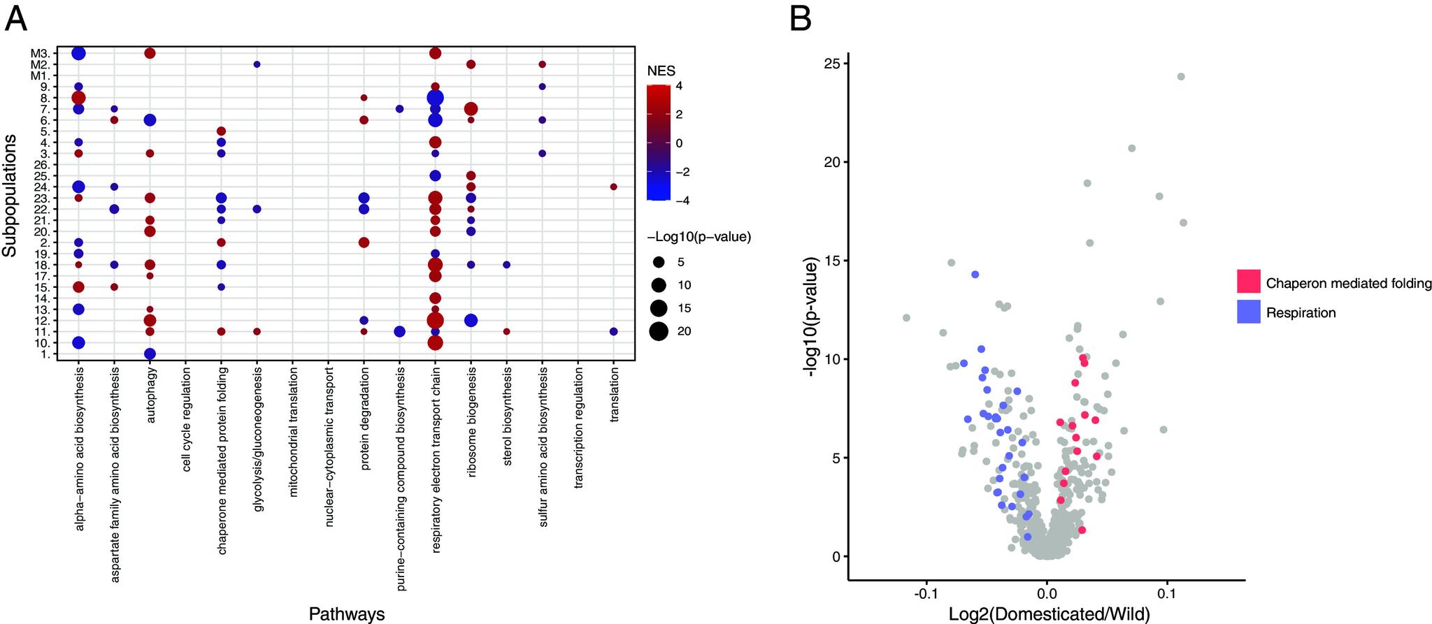 https://cdn.ncbi.nlm.nih.gov/pmc/blobs/7a98/11087752/d67fe6a9d15b/pnas.2319211121fig04.jpg