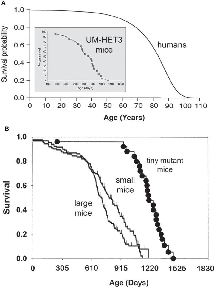 https://cdn.ncbi.nlm.nih.gov/pmc/blobs/7aa2/9329927/8c0372942ae3/fendo-13-916139-g001.jpg