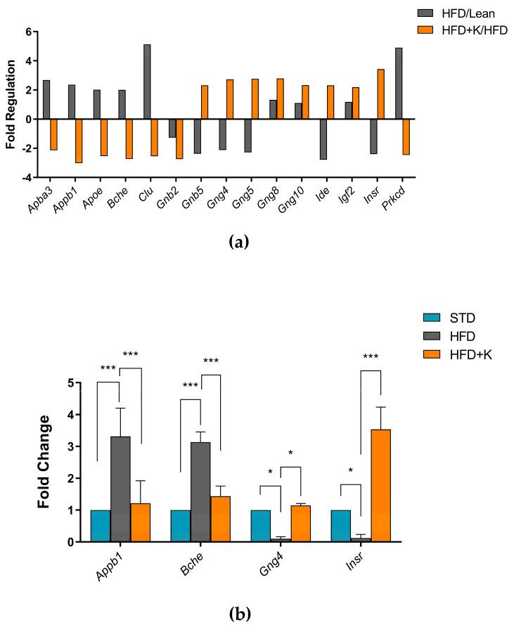 https://cdn.ncbi.nlm.nih.gov/pmc/blobs/7ab3/11988715/22b09abefc38/ijms-26-03077-g004.jpg