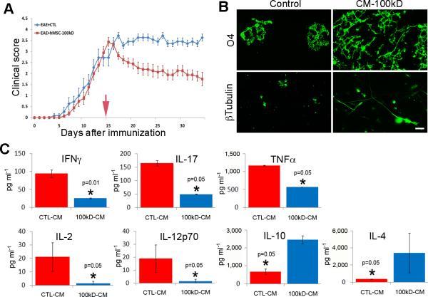 https://cdn.ncbi.nlm.nih.gov/pmc/blobs/7ac5/3427471/7244fc9281e6/nihms-371787-f0002.jpg