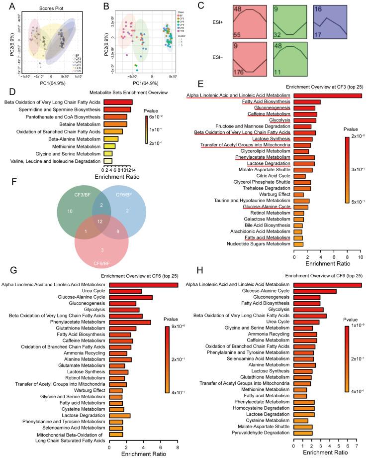 https://cdn.ncbi.nlm.nih.gov/pmc/blobs/7ad4/11722564/c76c8780b0c3/nutrients-17-00035-g004.jpg