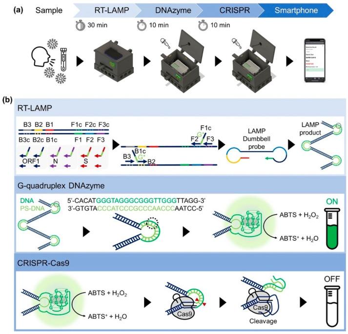 https://cdn.ncbi.nlm.nih.gov/pmc/blobs/7ad7/10886876/79128027e8e8/biosensors-14-00097-g002.jpg