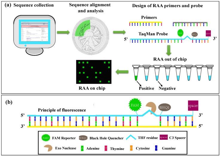 https://cdn.ncbi.nlm.nih.gov/pmc/blobs/7ad7/10886876/e17013854426/biosensors-14-00097-g007.jpg