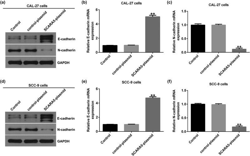 https://cdn.ncbi.nlm.nih.gov/pmc/blobs/7ae2/9921916/14af99a37f2f/j_med-2023-0627-fig004.jpg