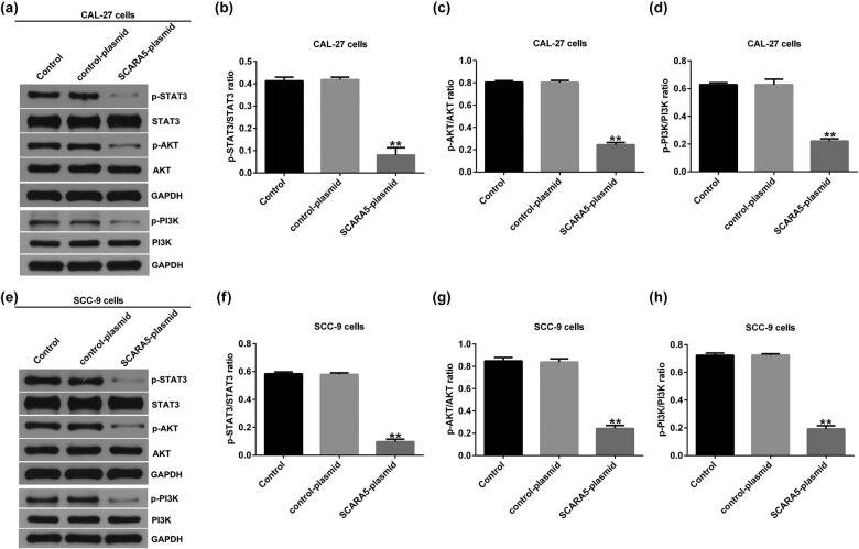 https://cdn.ncbi.nlm.nih.gov/pmc/blobs/7ae2/9921916/9fc33ec764f2/j_med-2023-0627-fig005.jpg