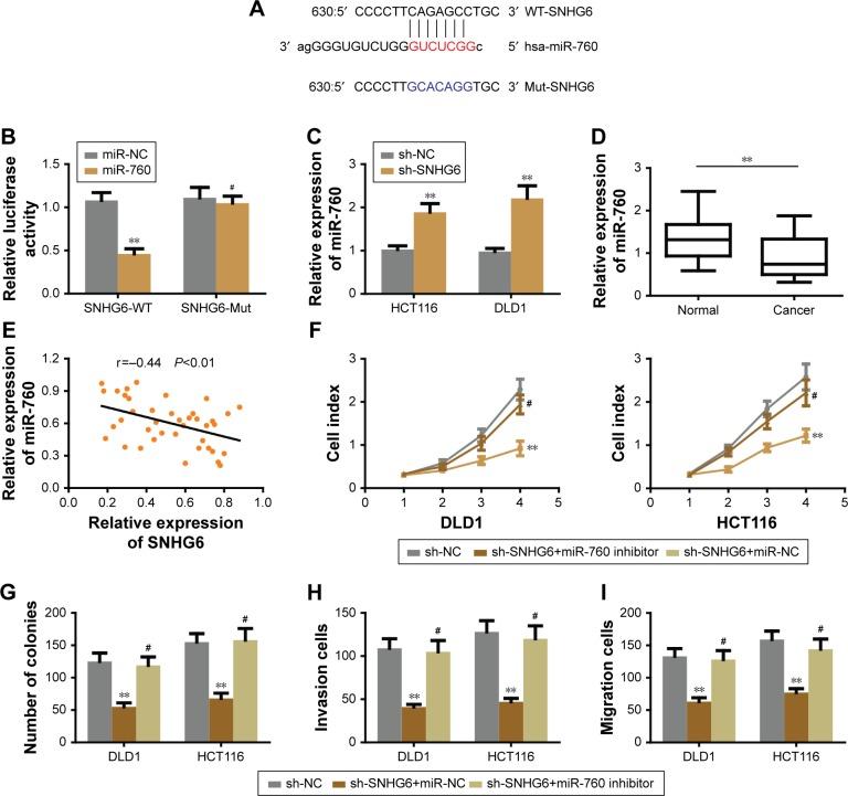 https://cdn.ncbi.nlm.nih.gov/pmc/blobs/7ae4/6140718/8c458a27af41/ott-11-5743Fig4.jpg