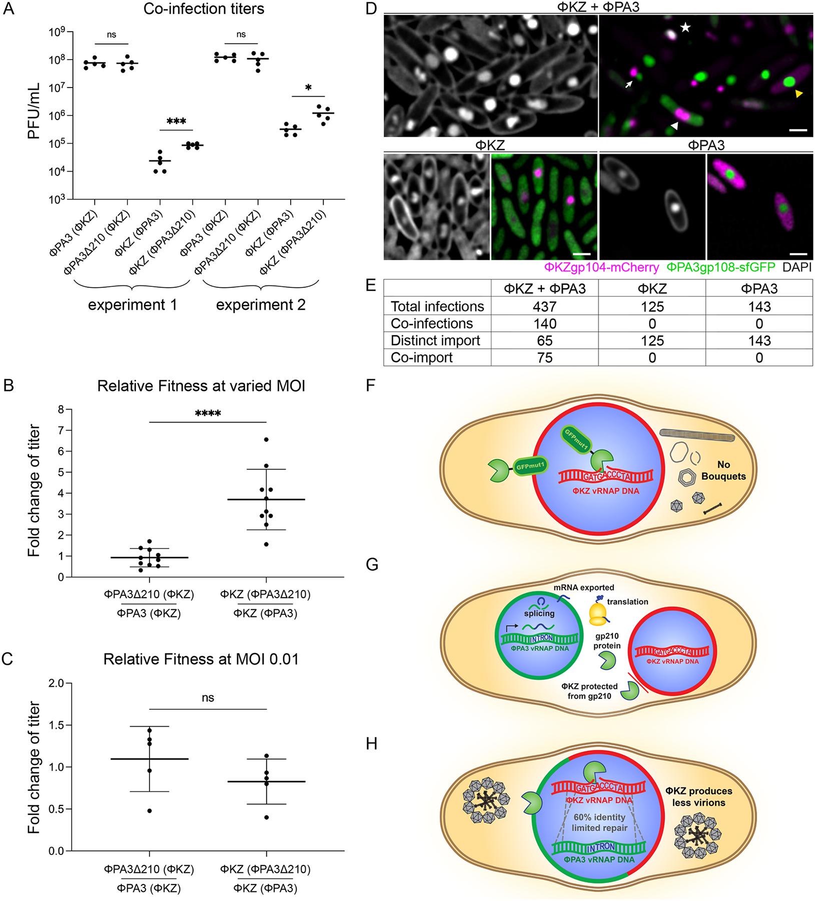 https://cdn.ncbi.nlm.nih.gov/pmc/blobs/7b1f/11620839/088406f4247f/nihms-2034457-f0004.jpg