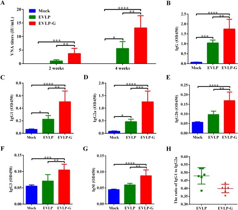 https://cdn.ncbi.nlm.nih.gov/pmc/blobs/7b23/4379564/9a7bc391e879/viruses-07-01134-g002.jpg