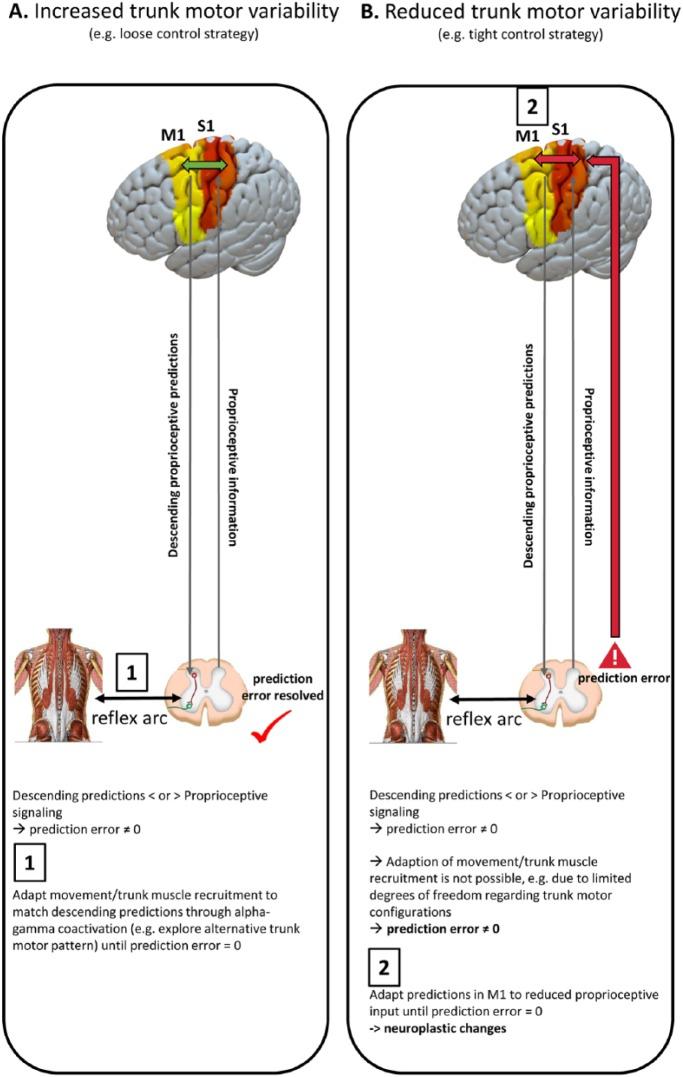 https://cdn.ncbi.nlm.nih.gov/pmc/blobs/7b25/6900582/c8a17972943a/10.1177_1073858418809074-fig4.jpg