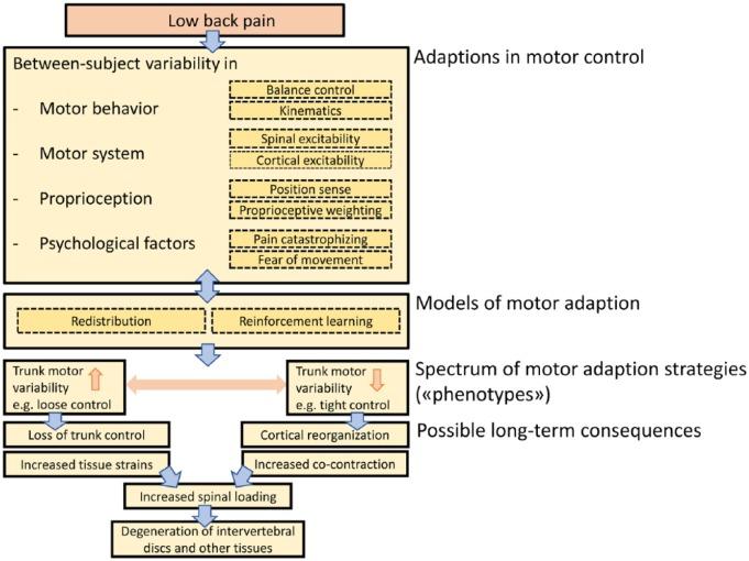 https://cdn.ncbi.nlm.nih.gov/pmc/blobs/7b25/6900582/e21f369131fe/10.1177_1073858418809074-fig1.jpg