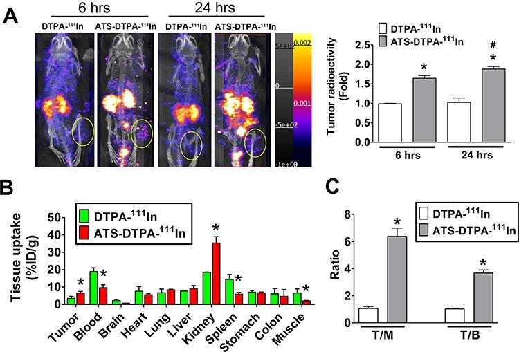 https://cdn.ncbi.nlm.nih.gov/pmc/blobs/7b34/4742167/aae1fd1d062a/oncotarget-06-36139-g007.jpg