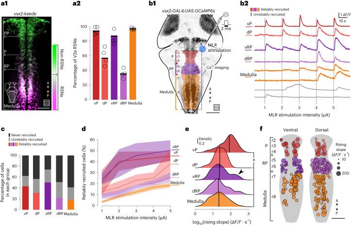 https://cdn.ncbi.nlm.nih.gov/pmc/blobs/7b57/10545542/8fe5d8fd1fe5/41593_2023_1418_Fig5_HTML.jpg