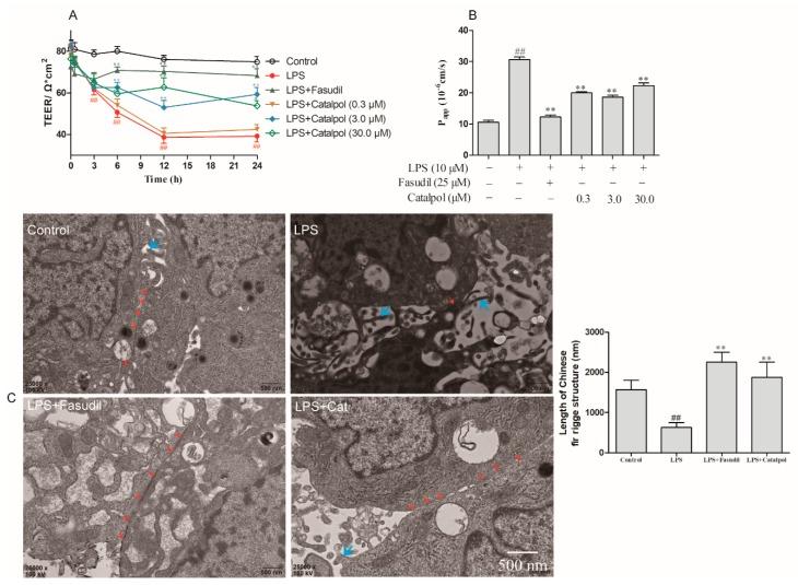https://cdn.ncbi.nlm.nih.gov/pmc/blobs/7b7f/6225311/47dba4ad91a3/molecules-23-02371-g005.jpg
