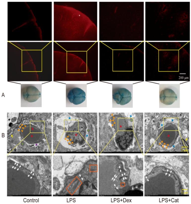 https://cdn.ncbi.nlm.nih.gov/pmc/blobs/7b7f/6225311/9d8ad844eb11/molecules-23-02371-g003.jpg