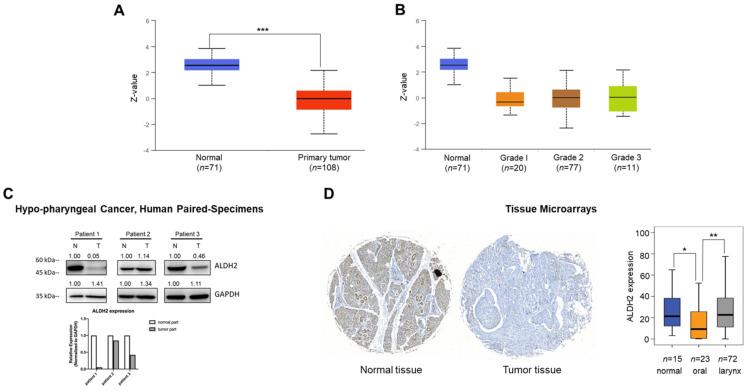 https://cdn.ncbi.nlm.nih.gov/pmc/blobs/7b85/10355205/5799872a9ea9/jcav14p1689g003.jpg