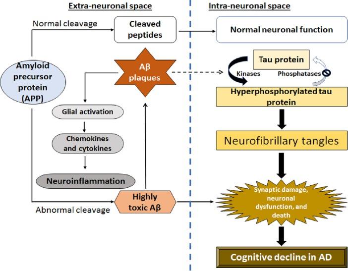 https://cdn.ncbi.nlm.nih.gov/pmc/blobs/7b87/6676868/64df5313557d/NRR-14-1880-g001.jpg