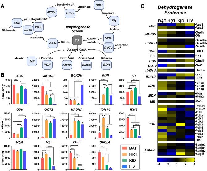 https://cdn.ncbi.nlm.nih.gov/pmc/blobs/7b96/7572412/18b9df600de8/41598_2020_74718_Fig2_HTML.jpg