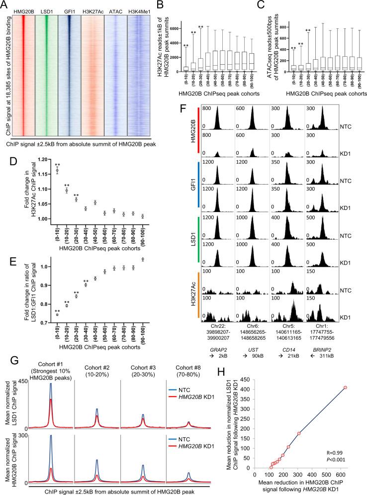 https://cdn.ncbi.nlm.nih.gov/pmc/blobs/7bc0/9616719/921c3e3dd539/41388_2022_2471_Fig5_HTML.jpg