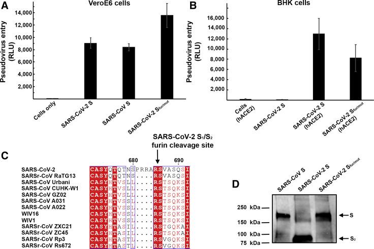 https://cdn.ncbi.nlm.nih.gov/pmc/blobs/7bd0/7102599/510e0652835f/gr1_lrg.jpg