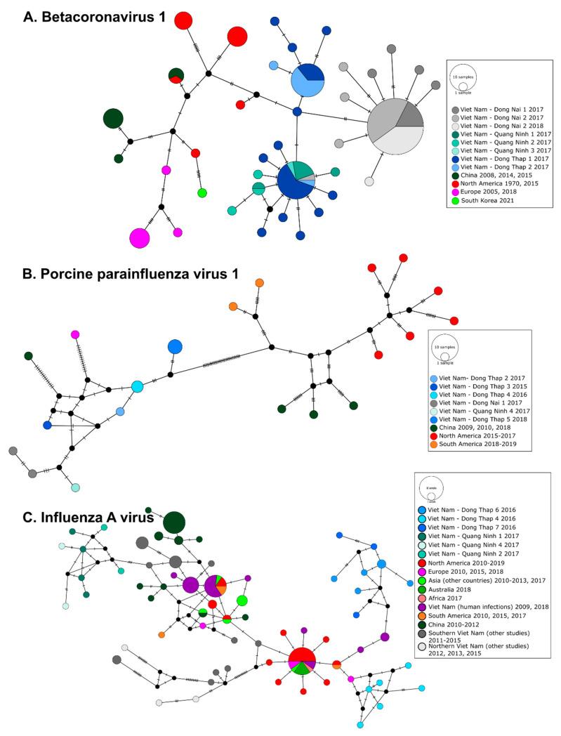 https://cdn.ncbi.nlm.nih.gov/pmc/blobs/7beb/10053906/34064ba5a304/viruses-15-00790-g004.jpg