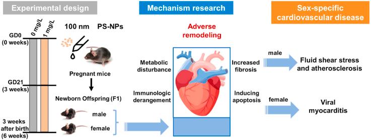 https://cdn.ncbi.nlm.nih.gov/pmc/blobs/7bed/11620075/b92c40ae1108/ga1.jpg
