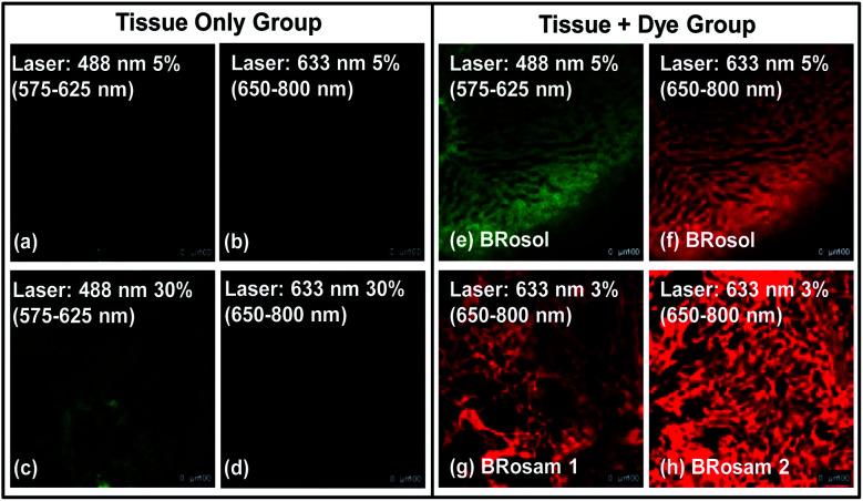 https://cdn.ncbi.nlm.nih.gov/pmc/blobs/7c07/8163444/3ad668980ffc/d0sc03314f-f7.jpg