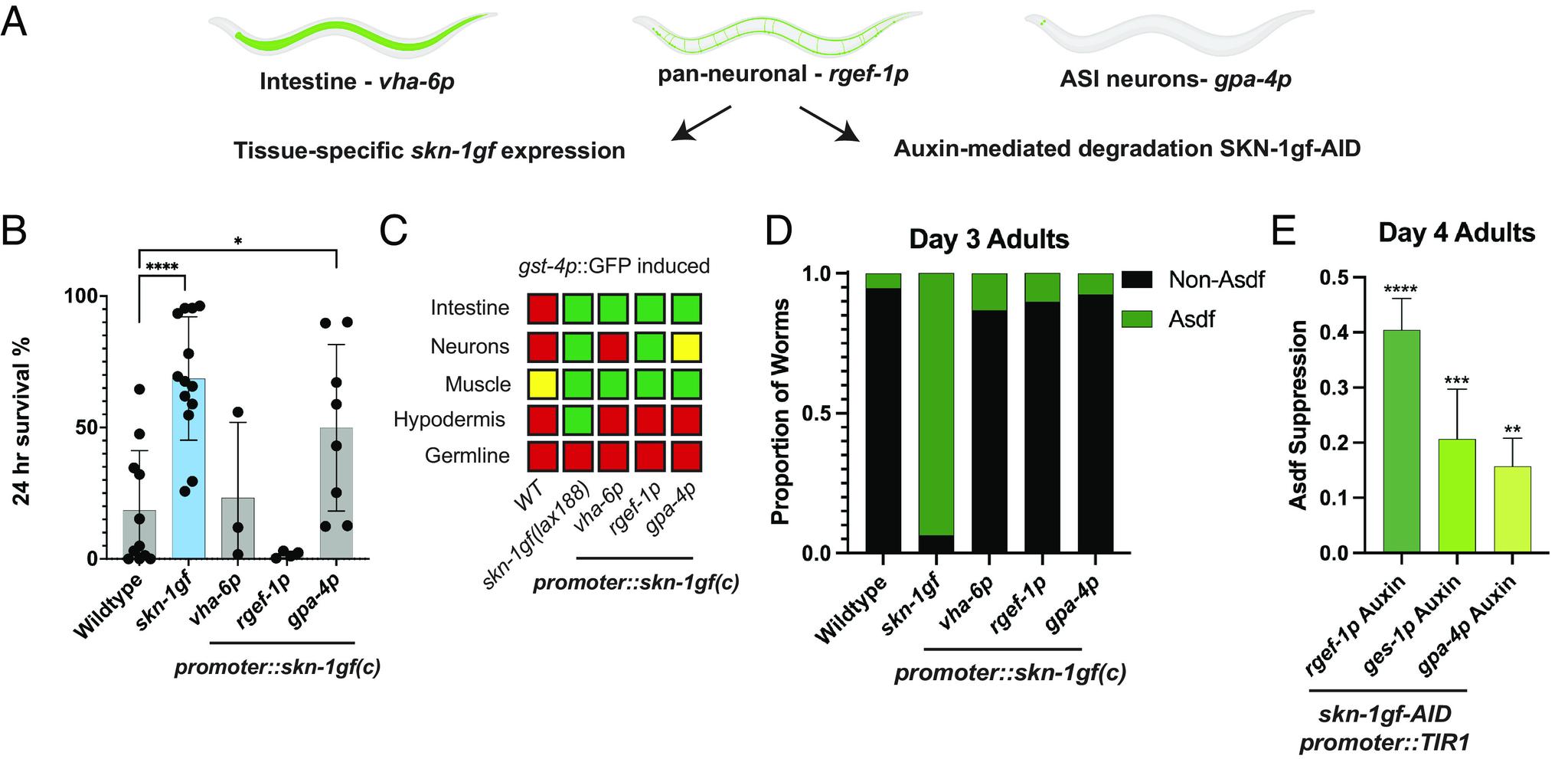 https://cdn.ncbi.nlm.nih.gov/pmc/blobs/7c54/10756303/488f8f1353a7/pnas.2308565120fig03.jpg