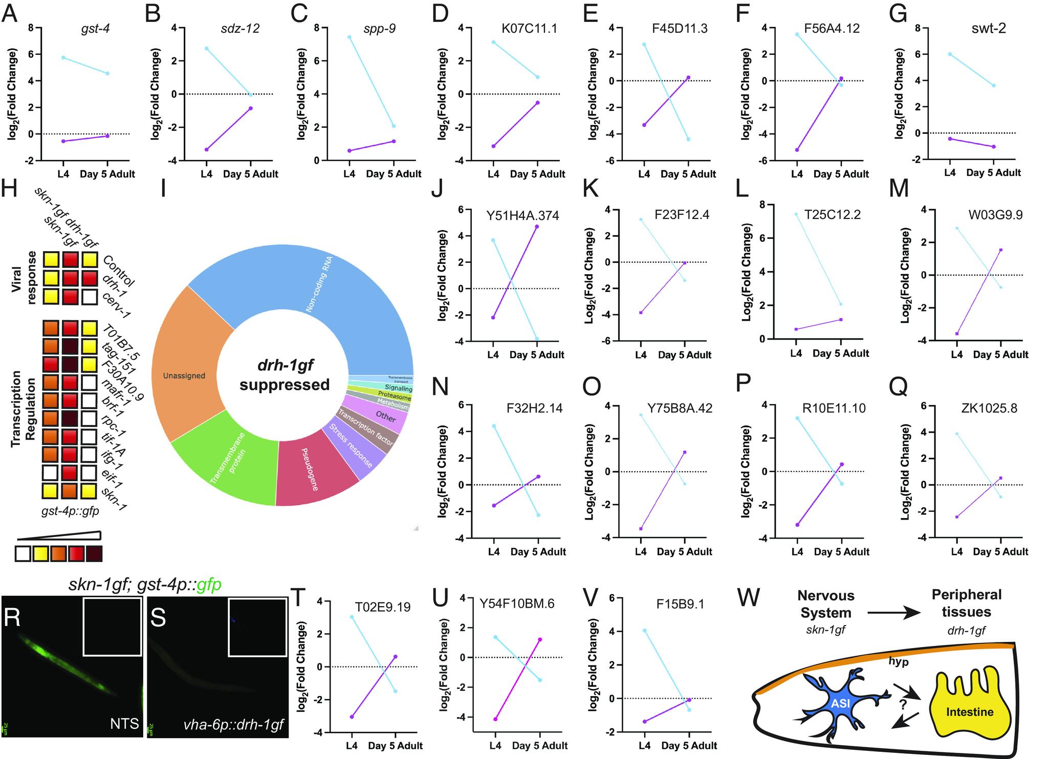 https://cdn.ncbi.nlm.nih.gov/pmc/blobs/7c54/10756303/e4fa08a407a5/pnas.2308565120fig05.jpg